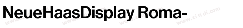 NeueHaasDisplay Roma字体转换